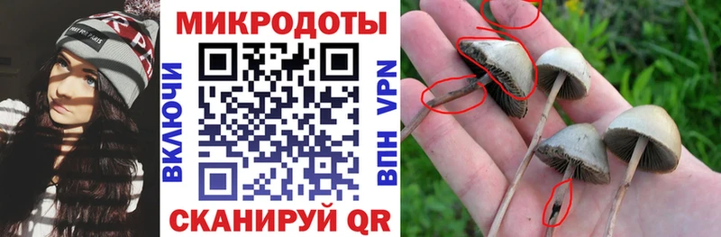 Галлюциногенные грибы MAGIC MUSHROOMS  Дорогобуж 